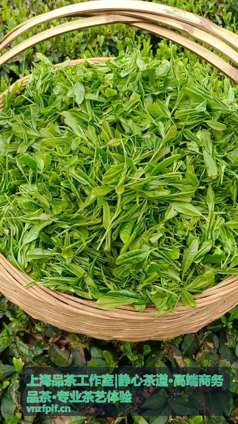 茶道修习培训
